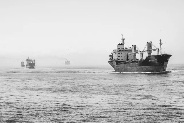 ships, ocean, sea, vessels, container ships, cargo ships, nature, transportation, nautical, monochrome, black and white. Vilka kostnader påverkar priset vid e-handel och frakt?